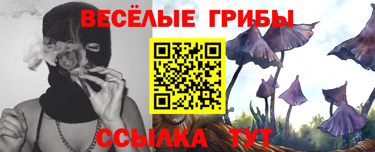 Галлюциногенные грибы Psilocybine cubensis Миасс